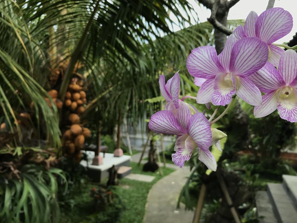 Dimuwa Ubud Eksteriør bilde