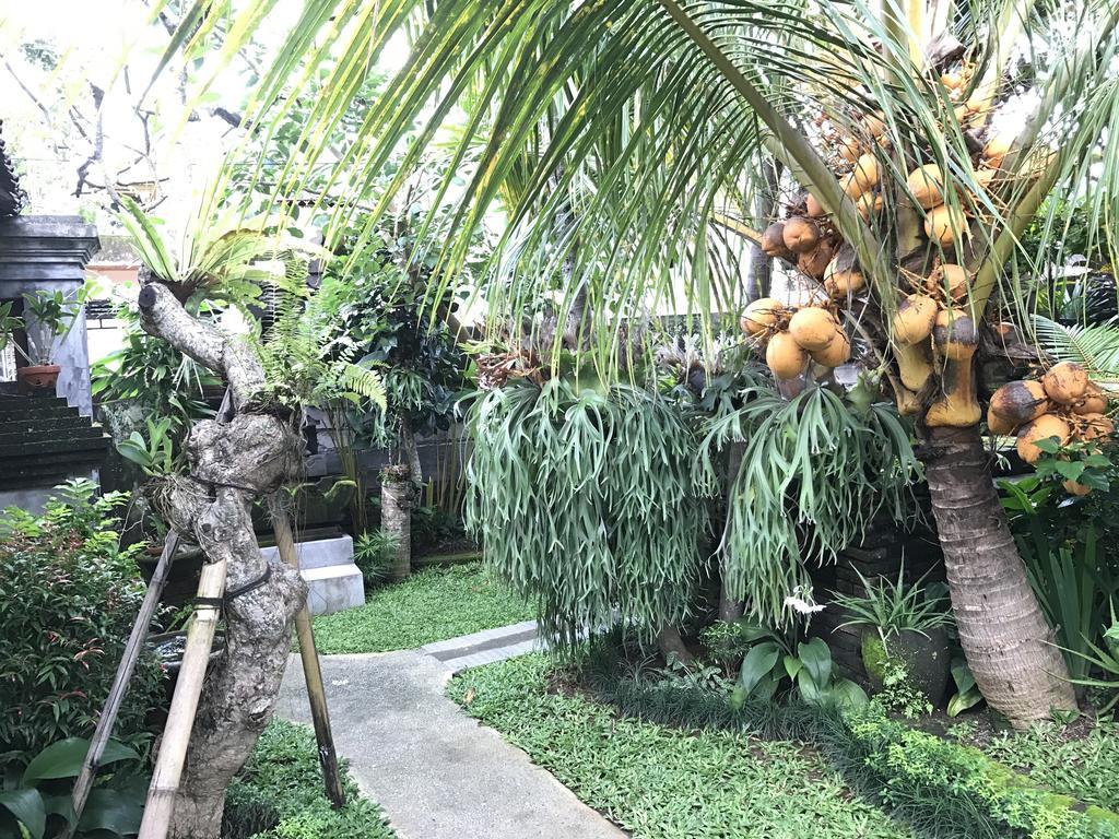Dimuwa Ubud Eksteriør bilde