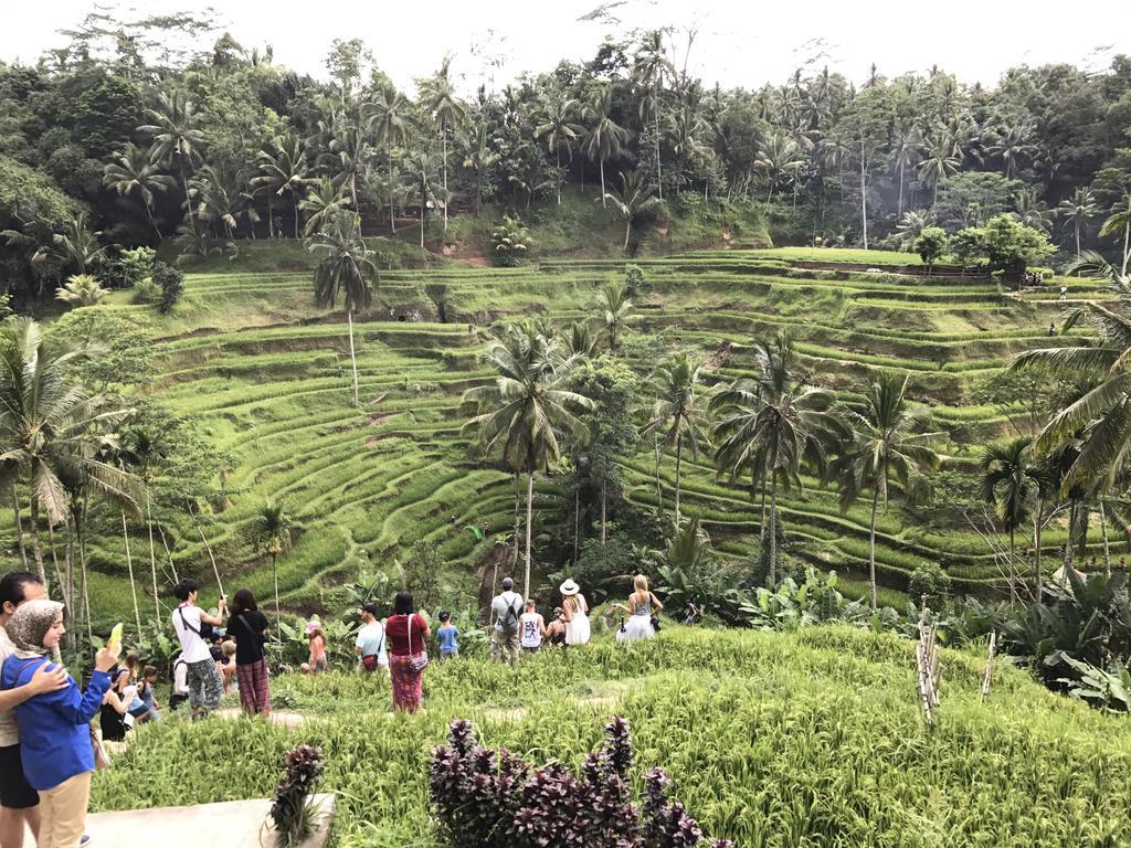 Dimuwa Ubud Eksteriør bilde